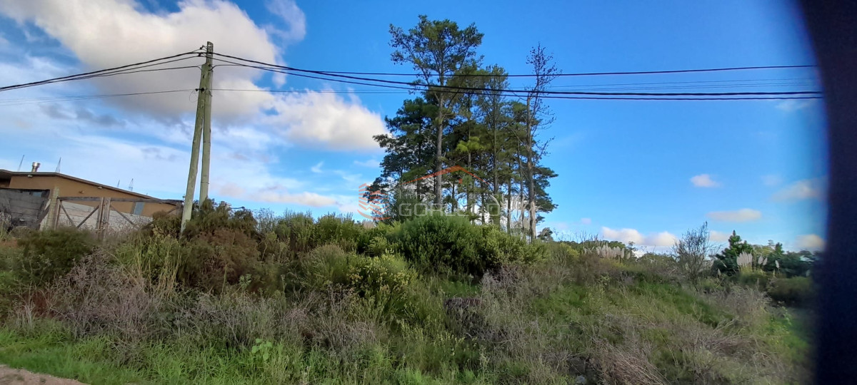 Altos de la Laguna - GoPunta - Portal Inmobiliario de Punta del Este - Maldonado