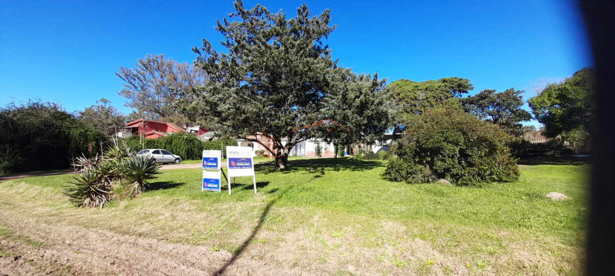 Camino Lussich - GoPunta - Portal Inmobiliario de Punta del Este - Maldonado