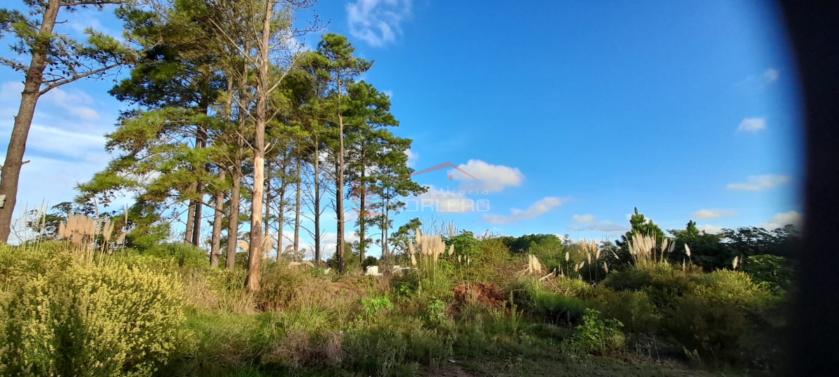Altos de la Laguna - GoPunta - Portal Inmobiliario de Punta del Este - Maldonado