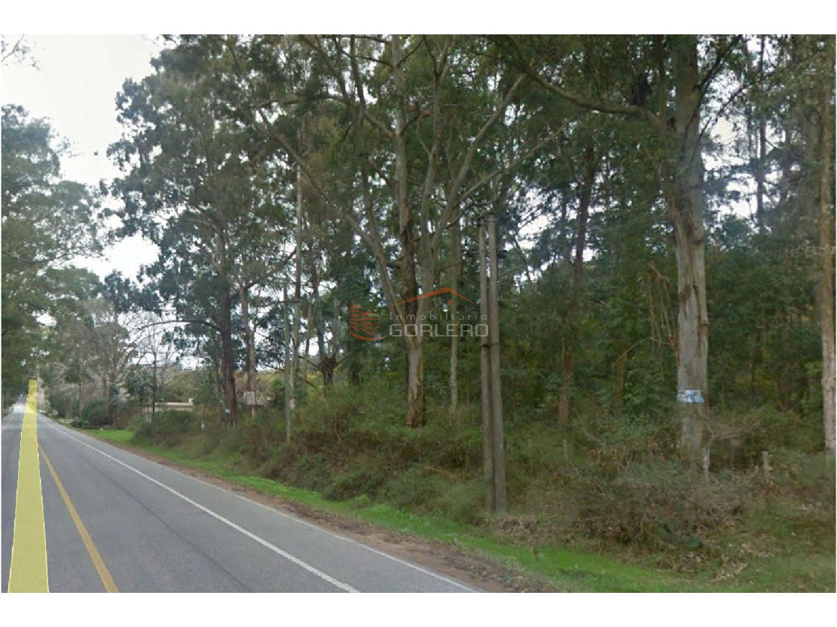 Golf - GoPunta - Portal Inmobiliario de Punta del Este - Maldonado