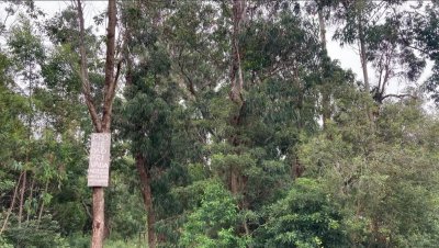 Venta de terreno en Ocean Park, 1000 m²