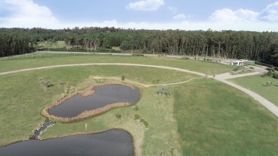  Venta de terreno en Maldonado, a 10 minutos de Punta del Este, zona Colegios