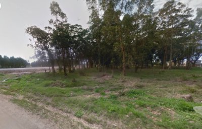 Terreno en Punta Rubia en Venta