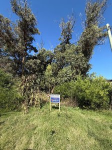 Venta de Terreno en Santa Mònica, Josè Ignacio