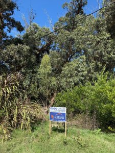 Venta de 2 lotes en Santa Mònica, Josè Ignacio