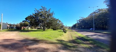 Terreno de 1500 m²  sobre Lussich con muy buen frente a poca distancia de Punta Ballena