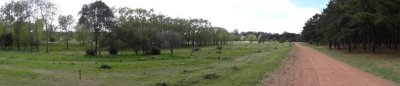 Terreno en Punta del Este, Chacras del Pinar, Camino Lussich