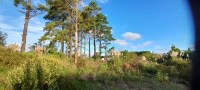 Terreno en Maldonado, Maldonado, Altos de la Laguna