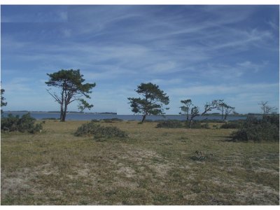 Terreno en venta Uruguay, Rocha, El Caracol, cerca de José Ignacio