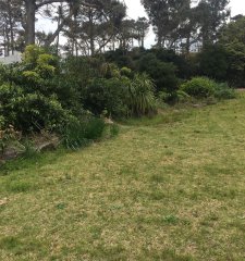 Terreno de 1.000 m2 en Venta en Punta del Este, Pinares a 1 del mar