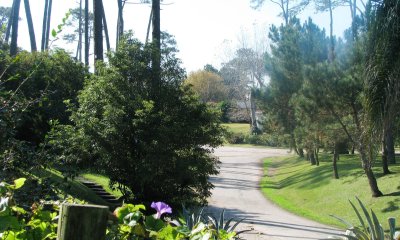 Terreno con casa en Punta del Este, Pinares, Excelente opción!!! Ideal varios emprendimientos