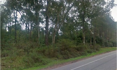 Venta de Terreno en Punta del este, zona Golf  sobre Avda principal, Apto varios Emprendimientos.