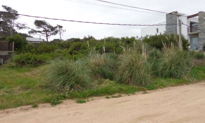 Terreno en Punta del Este,  La Barra