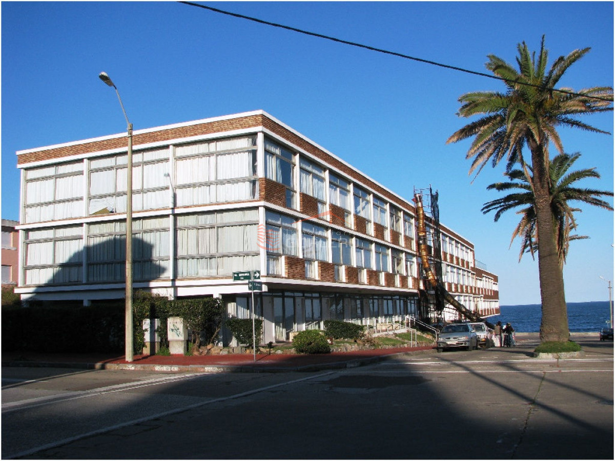 Península - GoPunta - Portal Inmobiliario de Punta del Este - Maldonado
