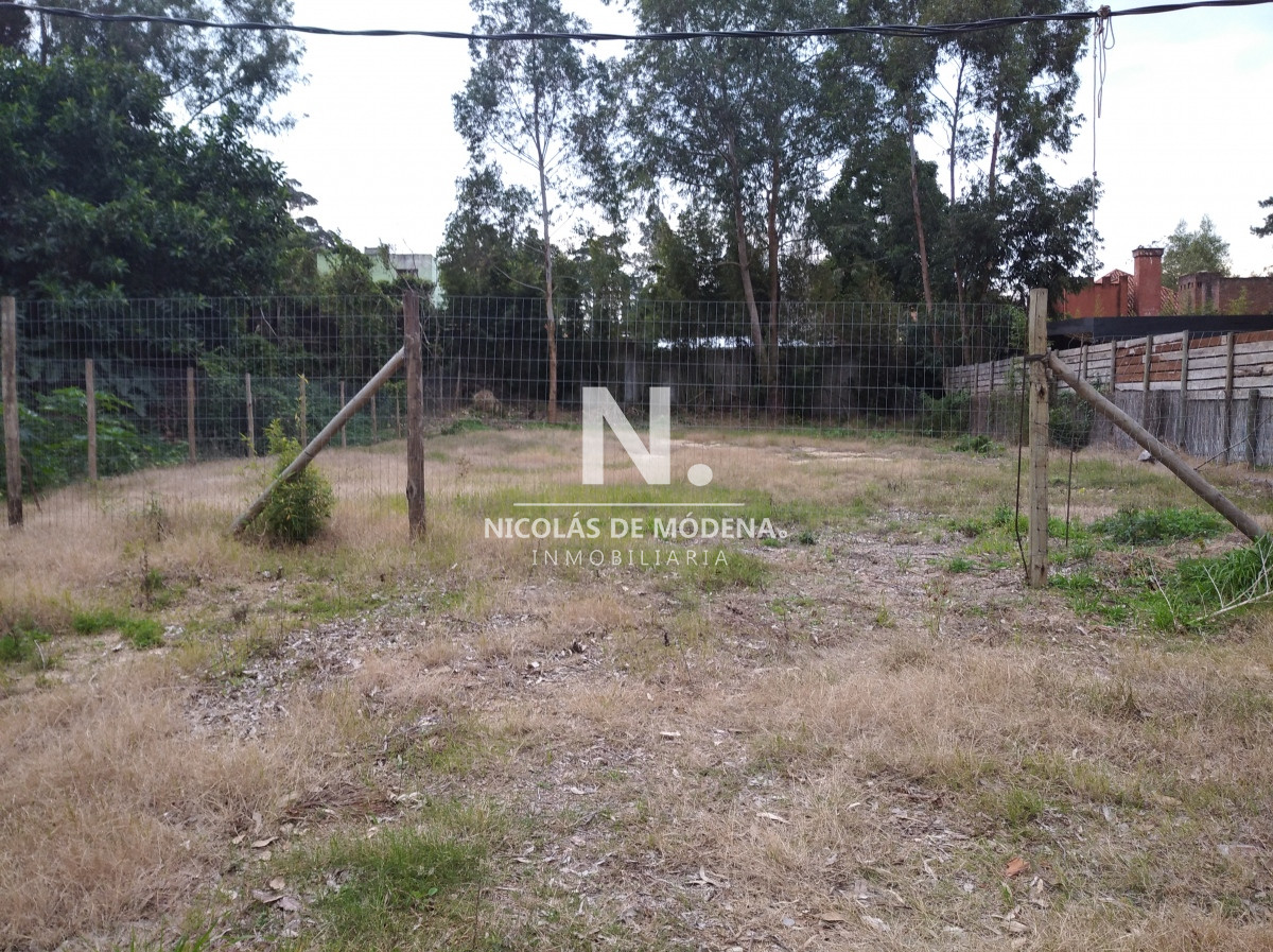 Pinares - GoPunta - Portal Inmobiliario de Punta del Este - Maldonado