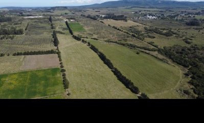 Chacras Terra Oliva