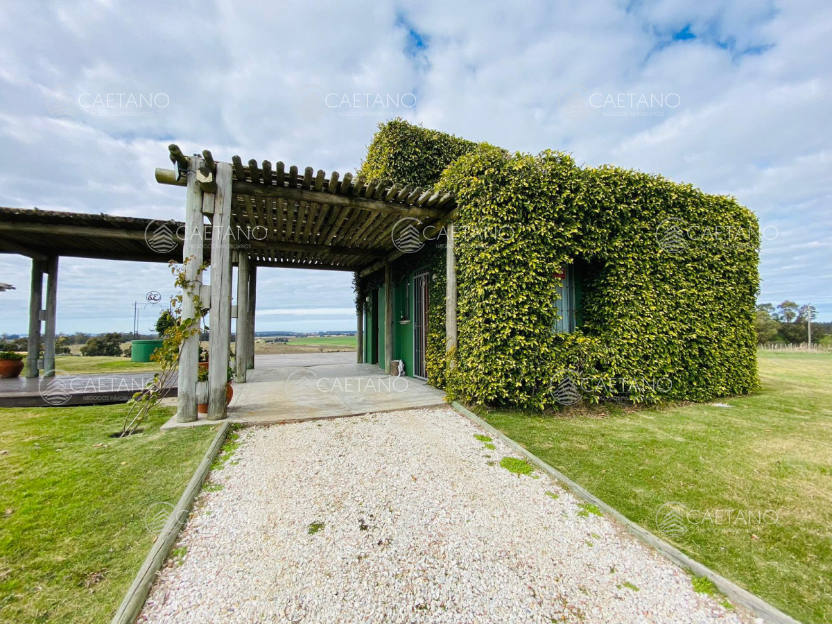 Chacra en Venta - GoPunta - Portal Inmobiliario de Punta del Este - Maldonado