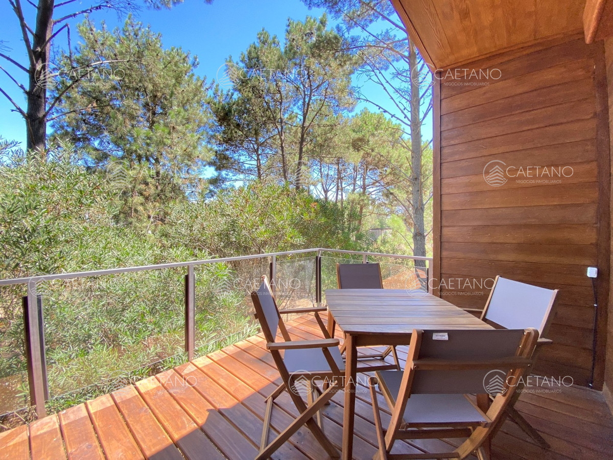 Chihuahua - GoPunta - Portal Inmobiliario de Punta del Este - Maldonado