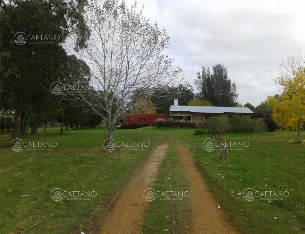 Manantiales - GoPunta - Portal Inmobiliario de Punta del Este - Maldonado