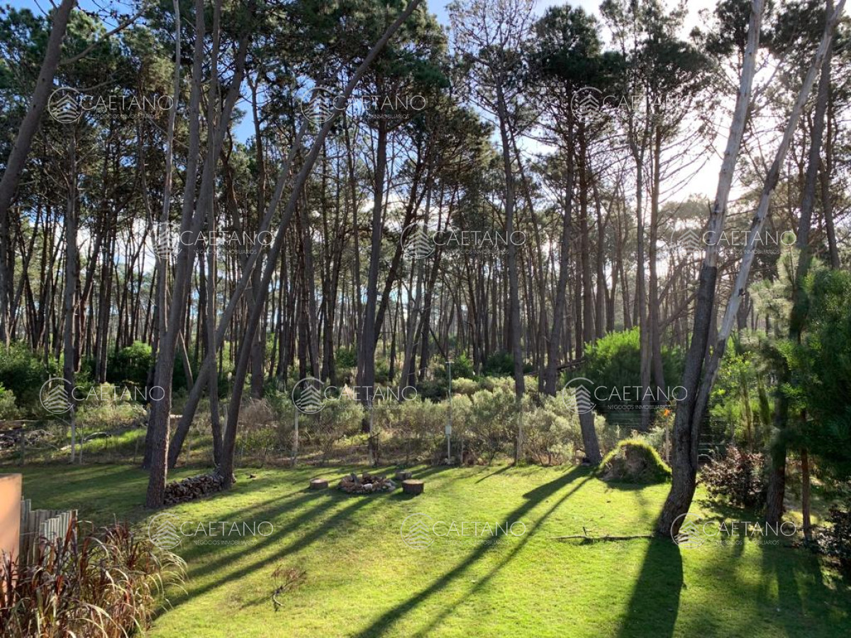 Laguna Blanca - GoPunta - Portal Inmobiliario de Punta del Este - Maldonado