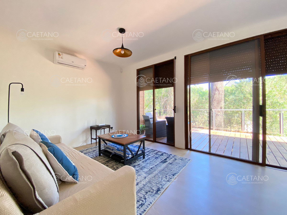 Chihuahua - GoPunta - Portal Inmobiliario de Punta del Este - Maldonado