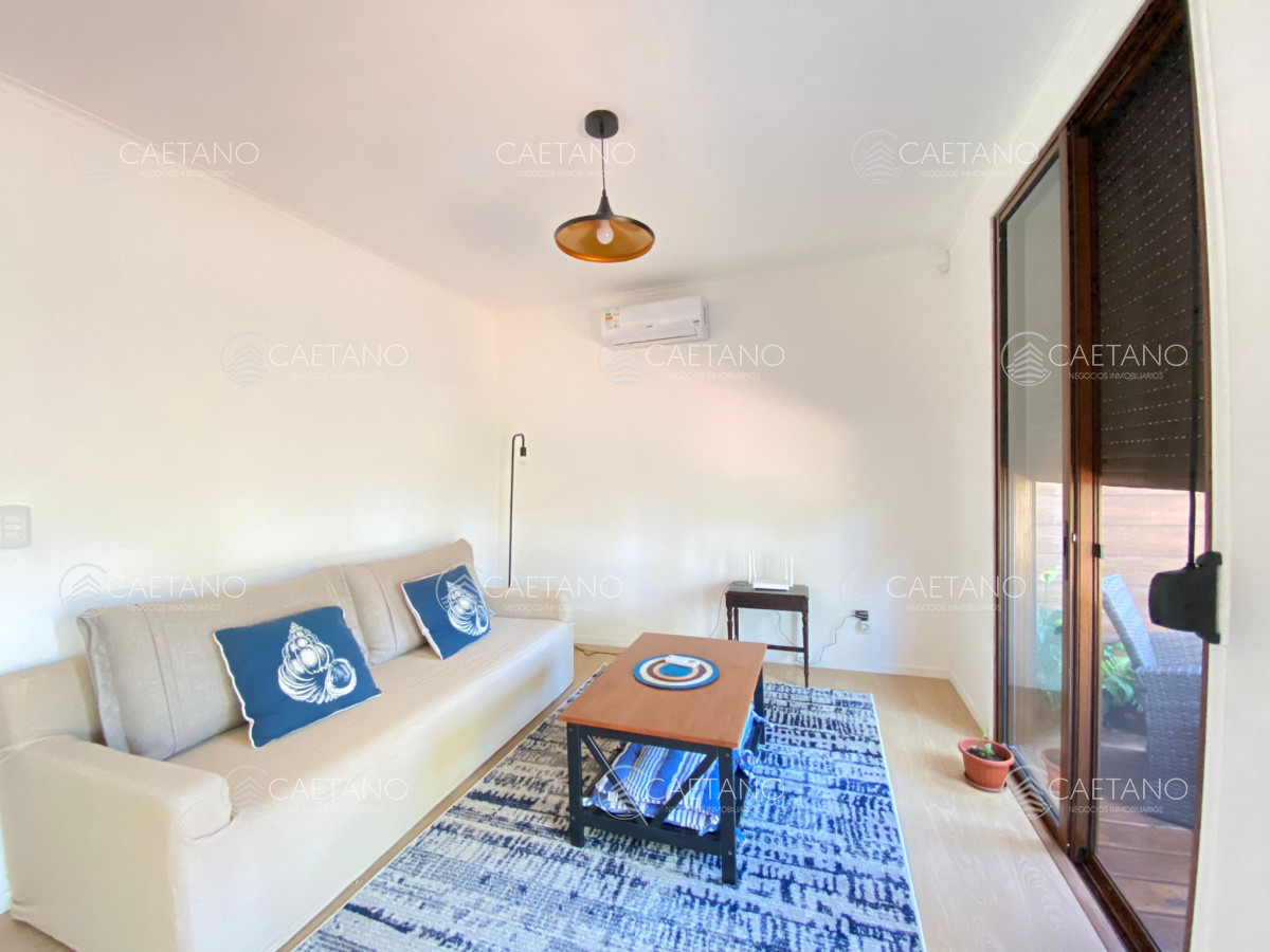 Chihuahua - GoPunta - Portal Inmobiliario de Punta del Este - Maldonado