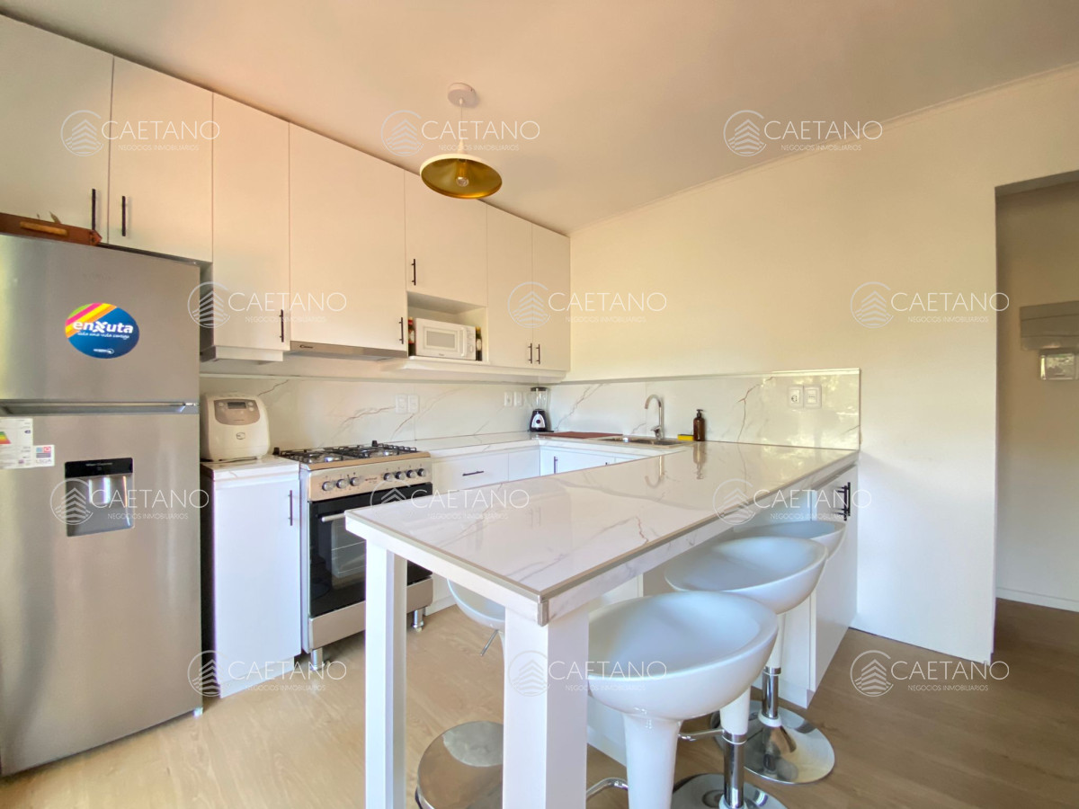 Chihuahua - GoPunta - Portal Inmobiliario de Punta del Este - Maldonado