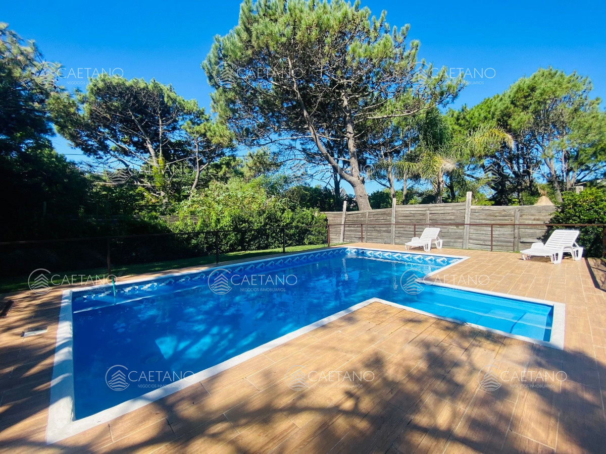 Tio Tom - GoPunta - Portal Inmobiliario de Punta del Este - Maldonado