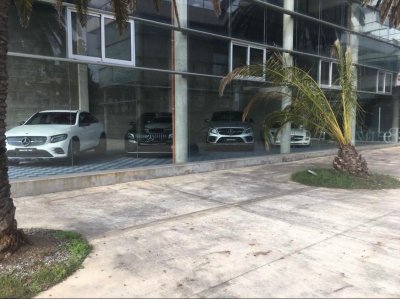 local en alquiler en zona península, punta del este  - dmc11128l