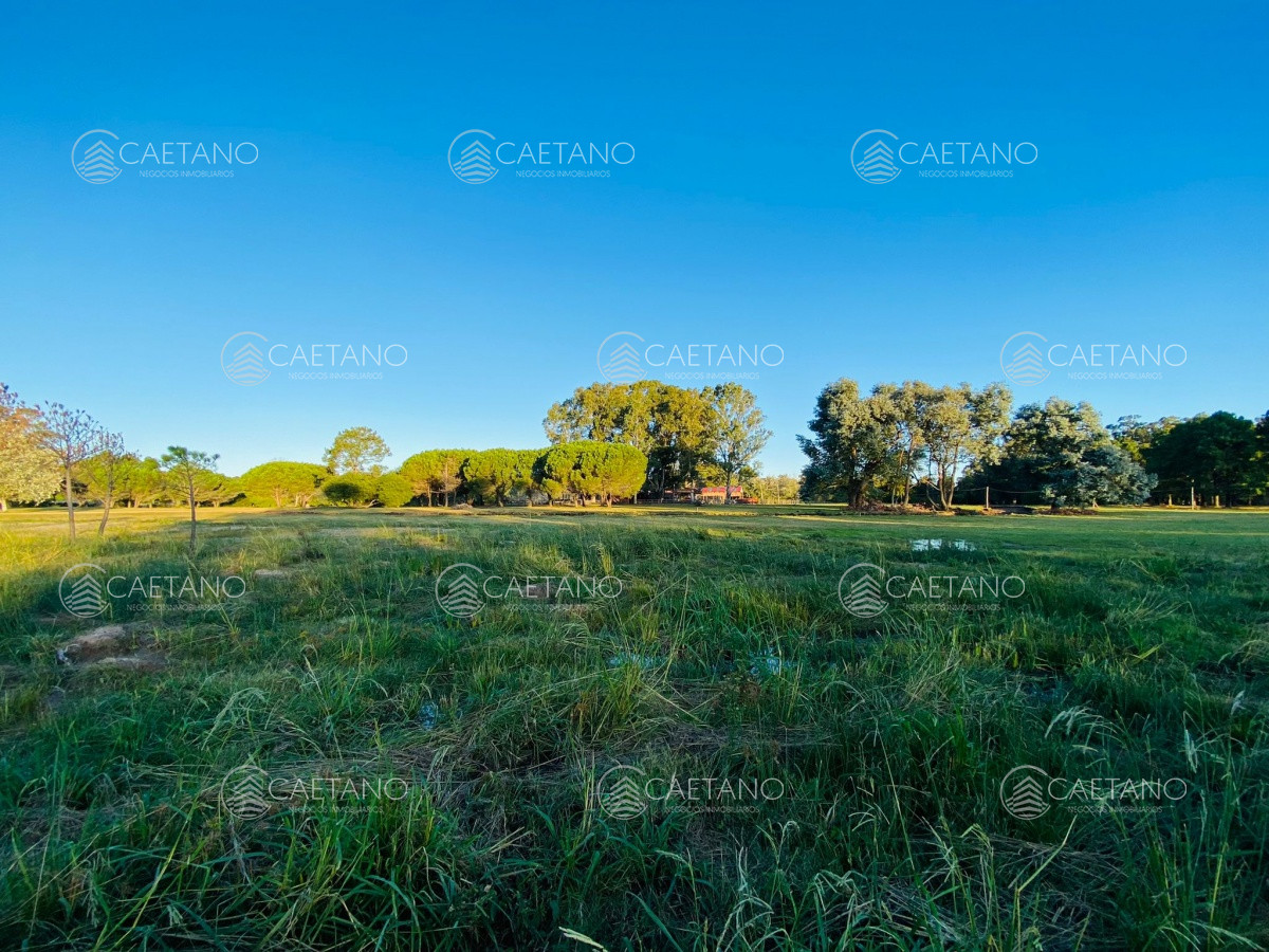 La Barra - GoPunta - Portal Inmobiliario de Punta del Este - Maldonado