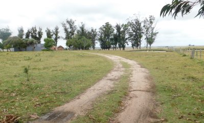 Chacra en Ruta 9