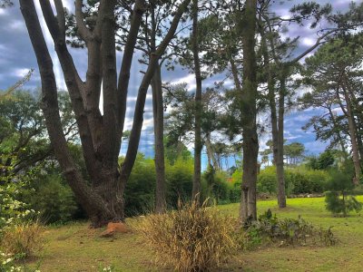 lote en venta en playa brava, punta del este - col6284t