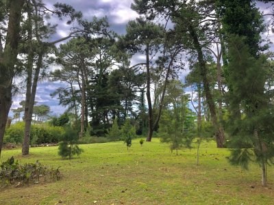 lote en venta en playa brava, punta del este - col6284t