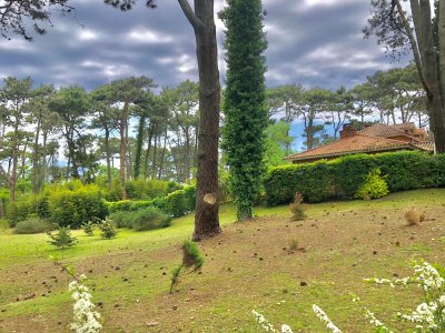 lote en venta en playa brava, punta del este - col6284t