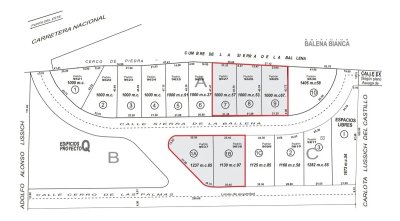 lote en punta ballena con vista panorámica al mar. tera 6359 - col6359t