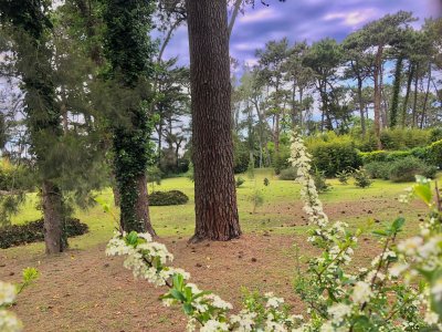 lote en venta en playa brava, punta del este - col6284t