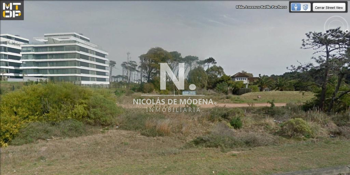 Terreno