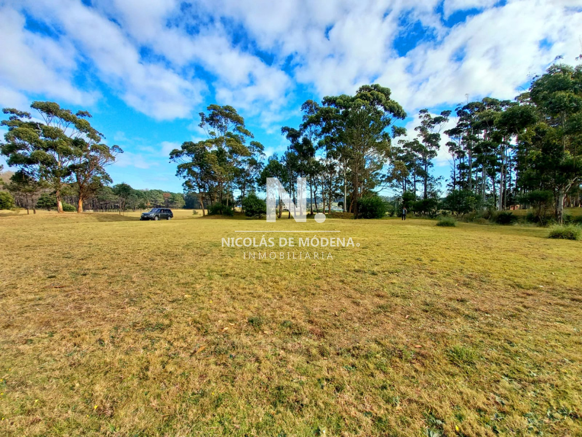 Manantiales - GoPunta - Portal Inmobiliario de Punta del Este - Maldonado