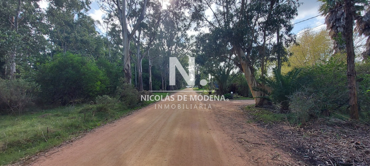 El Tesoro - GoPunta - Portal Inmobiliario de Punta del Este - Maldonado