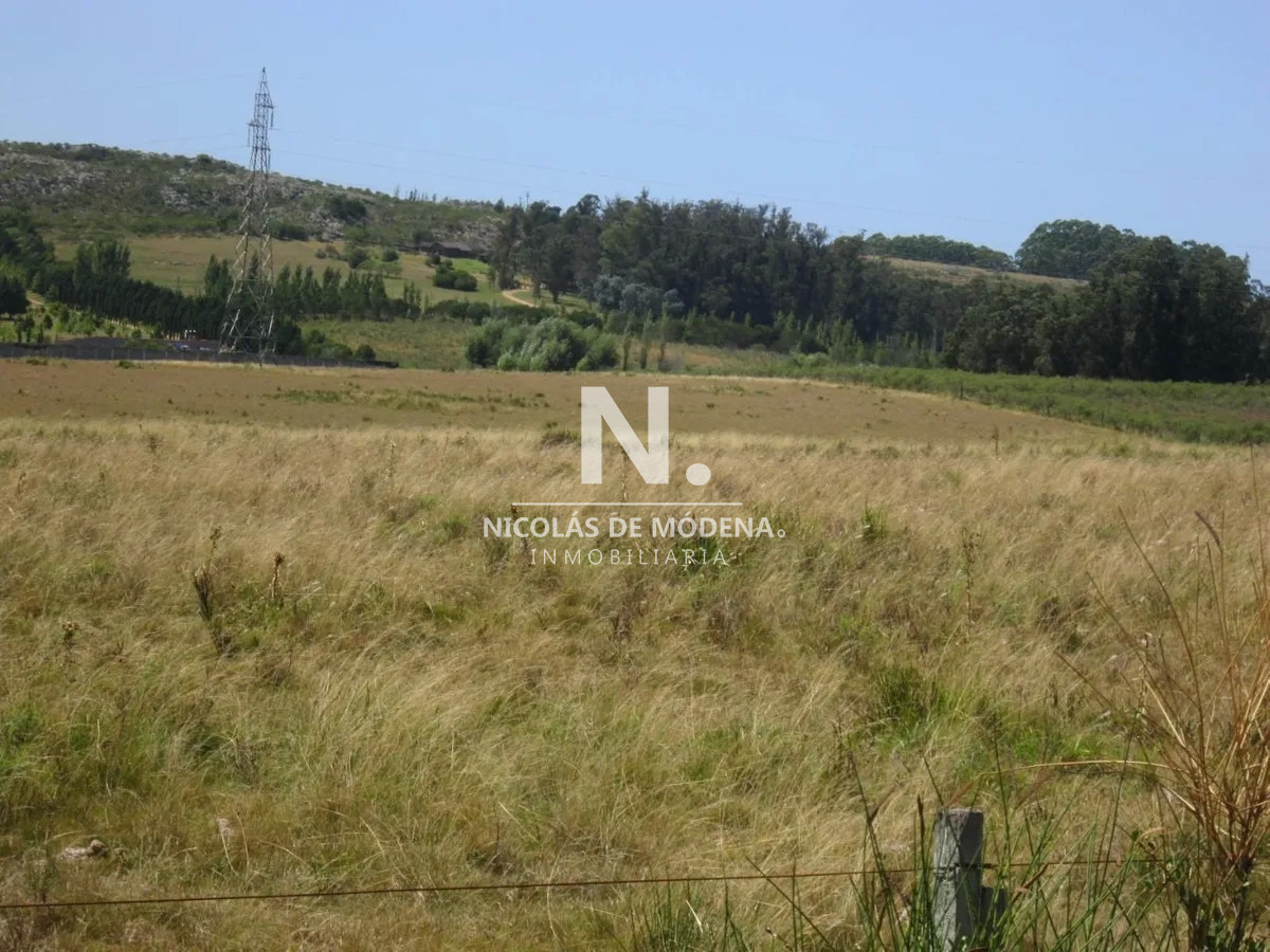 Camino Eguzquiza - GoPunta - Portal Inmobiliario de Punta del Este - Maldonado