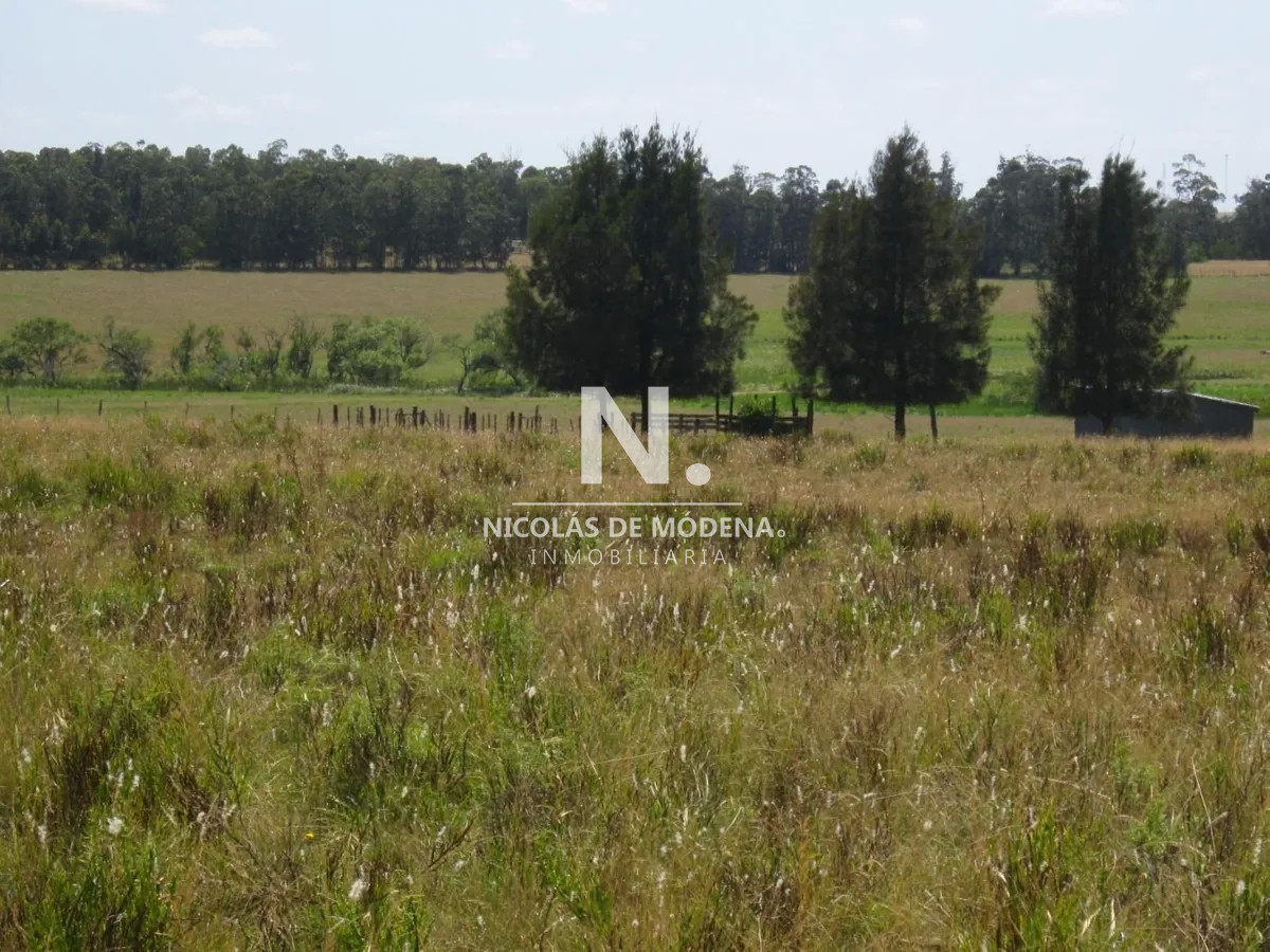 Camino Eguzquiza - GoPunta - Portal Inmobiliario de Punta del Este - Maldonado