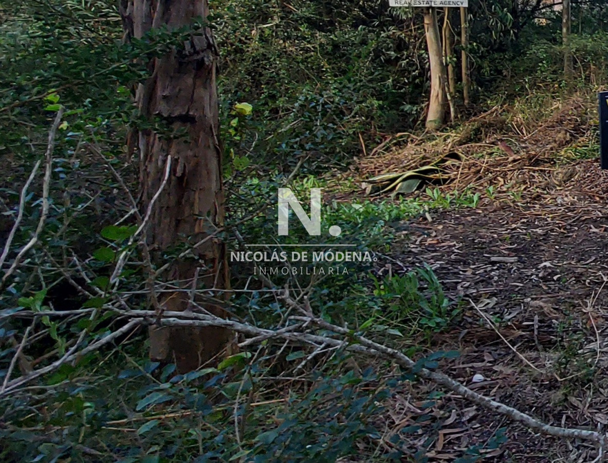El Tesoro - GoPunta - Portal Inmobiliario de Punta del Este - Maldonado