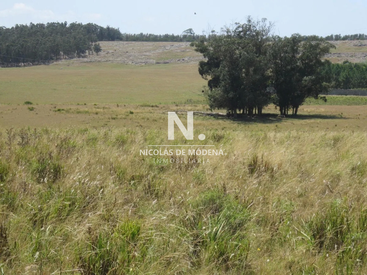 Camino Eguzquiza - GoPunta - Portal Inmobiliario de Punta del Este - Maldonado