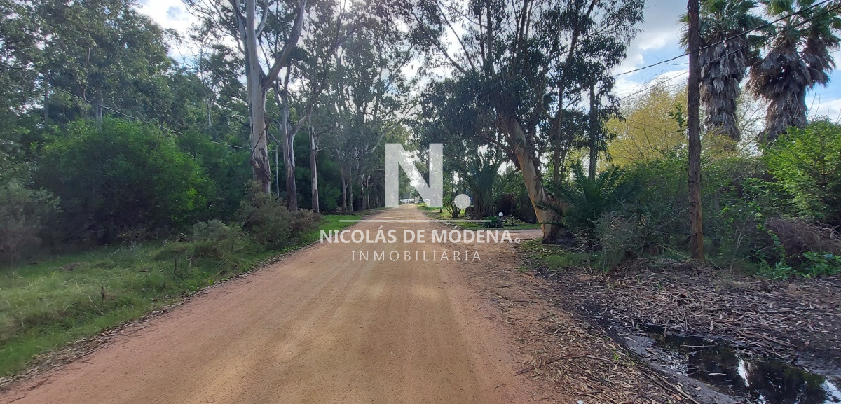 El Tesoro - GoPunta - Portal Inmobiliario de Punta del Este - Maldonado