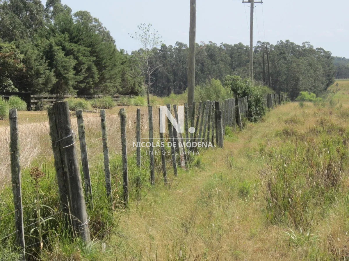 Camino Eguzquiza - GoPunta - Portal Inmobiliario de Punta del Este - Maldonado