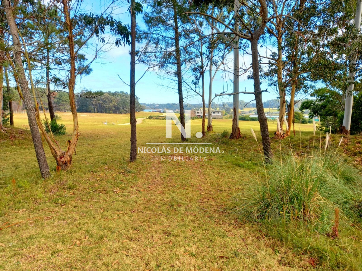 Manantiales - GoPunta - Portal Inmobiliario de Punta del Este - Maldonado