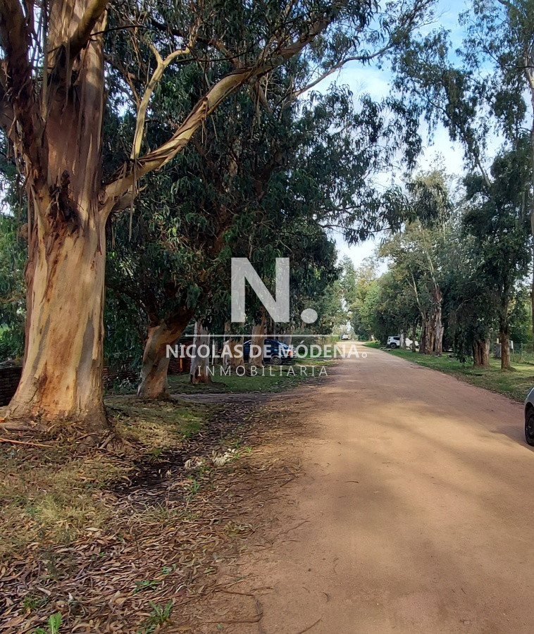 El Tesoro - GoPunta - Portal Inmobiliario de Punta del Este - Maldonado