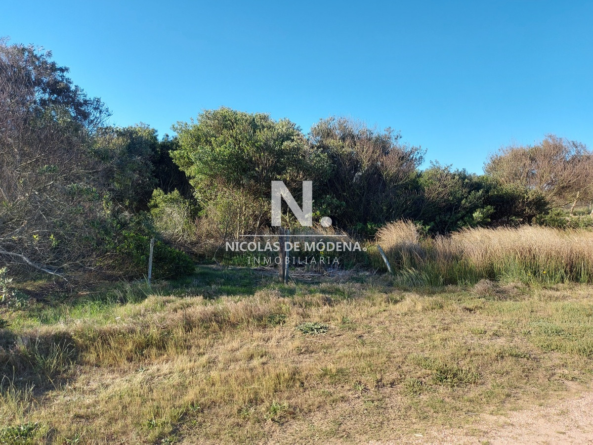 La Juanita - GoPunta - Portal Inmobiliario de Punta del Este - Maldonado