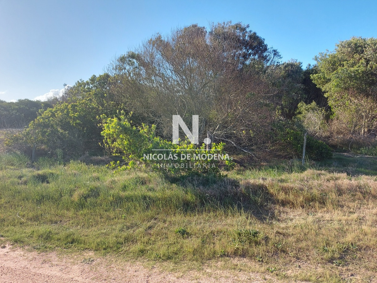 La Juanita - GoPunta - Portal Inmobiliario de Punta del Este - Maldonado