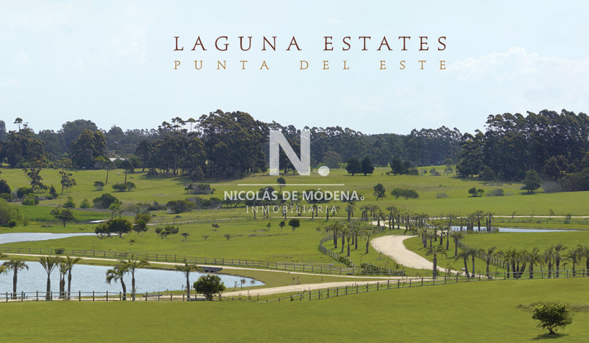 Manantiales - GoPunta - Portal Inmobiliario de Punta del Este - Maldonado